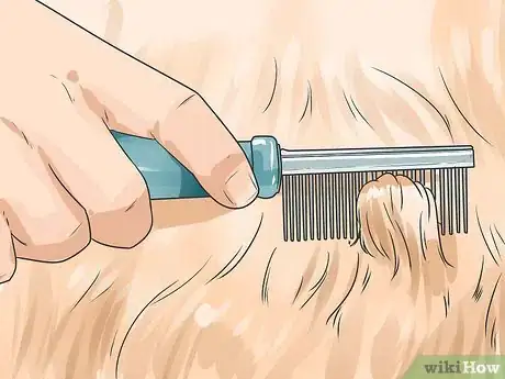 Imagen titulada Keep Fleas Off Dogs Step 13