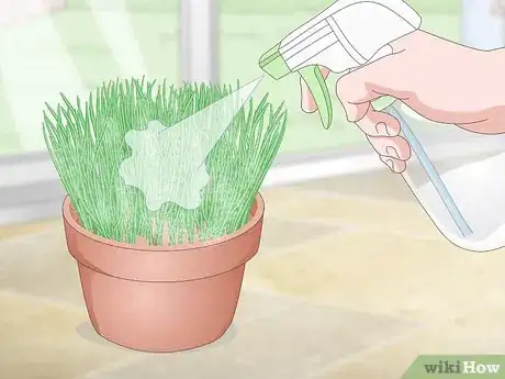 Imagen titulada Make a Grass Pot for Cats Step 11