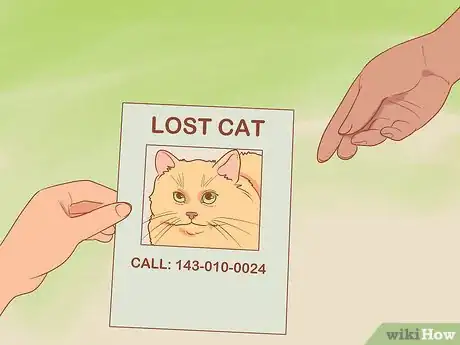 Imagen titulada Find a Lost Cat Step 27