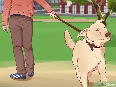 Imagen titulada Stop a Dog from Pulling on Its Leash Step 5