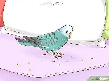 Imagen titulada Know if a Parakeet Is Right for You Step 2