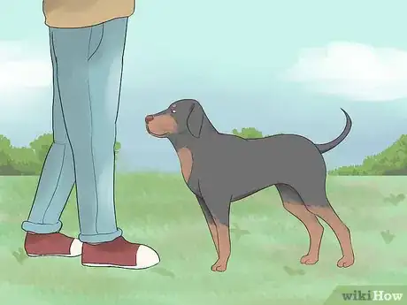 Imagen titulada Make a Dog Love You Step 11