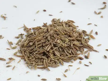 Imagen titulada Preserve Fennel Step 20