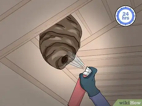 Imagen titulada Keep Hornets Away Step 19