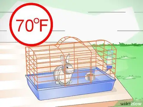 Imagen titulada Keep Pet Rabbits Cool Step 1