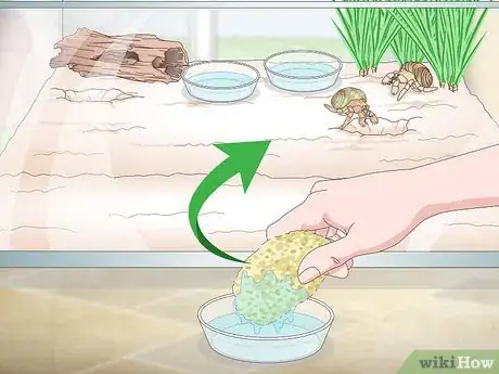 Imagen titulada Maintain Humidity in a Pet Hermit Crab Habitat Step 10