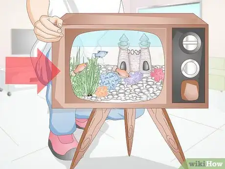 Imagen titulada Creatively Decorate a Freshwater Fish Tank Step 1