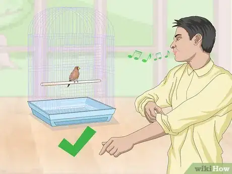 Imagen titulada Bond with Pet Finches Step 1