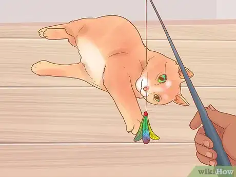 Imagen titulada Prevent Cats from Eating Plants Step 10