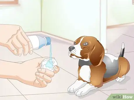 Imagen titulada Clean Gunk from Your Dog's Eyes Step 10