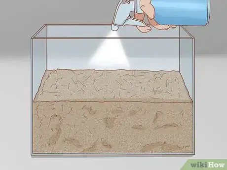 Imagen titulada Set Up a Natural Environment for Pet Snails Step 4