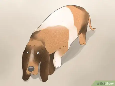 Imagen titulada Spot Dog Seizure Symptoms Step 2