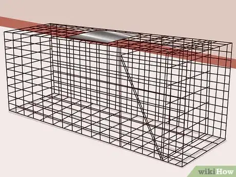 Imagen titulada Catch a Cat Step 12