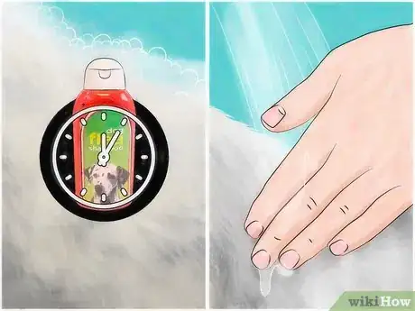 Imagen titulada Kill Fleas and Ticks in Your Home Step 1