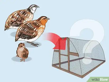 Imagen titulada Build a Quail Habitat Step 1