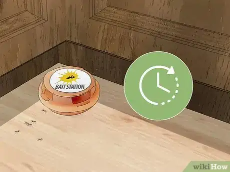 Imagen titulada Kill Ants in Your House Step 8