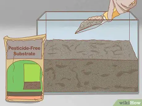 Imagen titulada Set Up a Natural Environment for Pet Snails Step 2