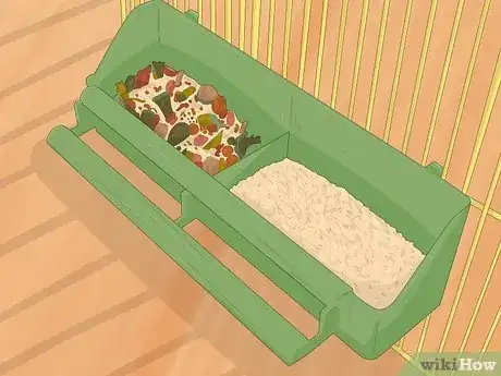 Imagen titulada Feed a Conure Step 4