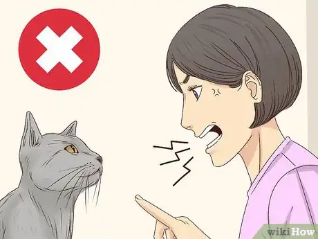 Imagen titulada Get a Cat to Stop Meowing Step 20