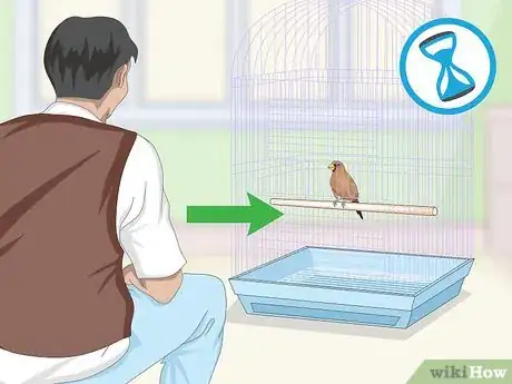 Imagen titulada Bond with Pet Finches Step 5