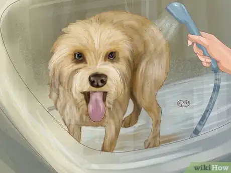 Imagen titulada Express a Dog's Anal Gland Step 6