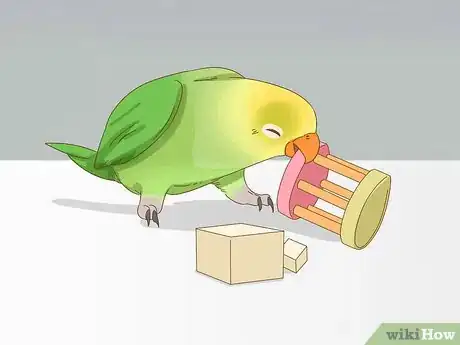 Imagen titulada Calm Down a Bird Step 2
