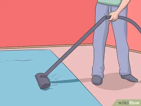 Imagen titulada Eliminate a Flea Infestation in Your Home Step 8