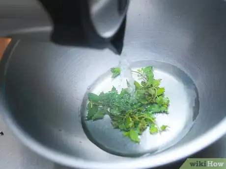 Imagen titulada Make Mint Tea Step 7