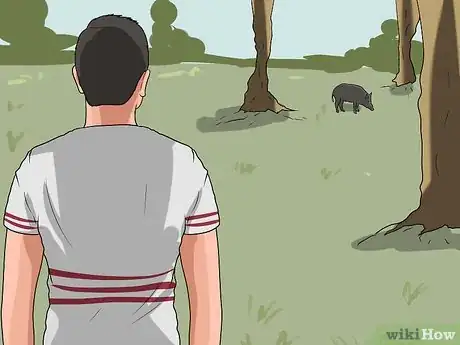Imagen titulada Call the Hogs Step 5