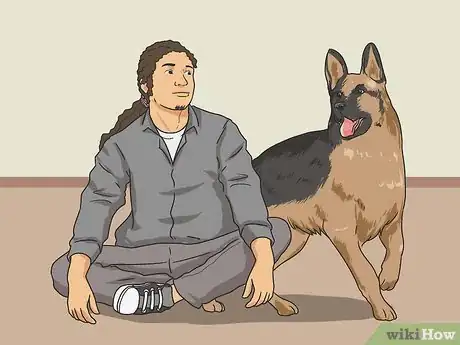 Imagen titulada Introduce a New Dog to Your House and Other Dogs Step 26