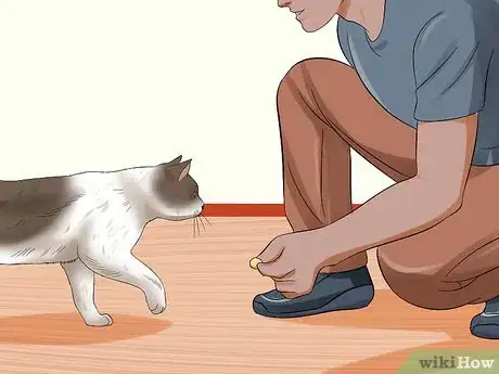 Imagen titulada Keep a Cat from Running out the Door Step 8
