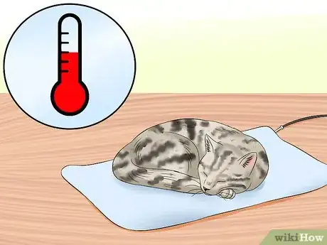 Imagen titulada Treat Feline Panleukopenia (Distemper) Step 12