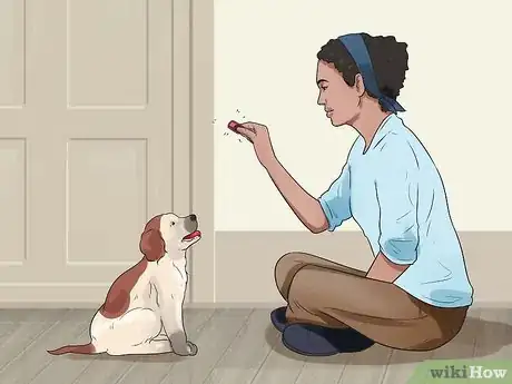 Imagen titulada Teach Your Dog Tricks Step 5