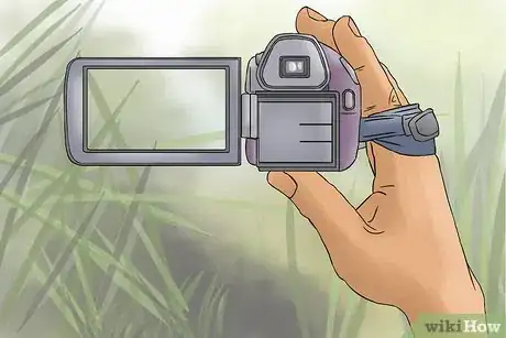 Imagen titulada Become a Cryptozoologist Step 12
