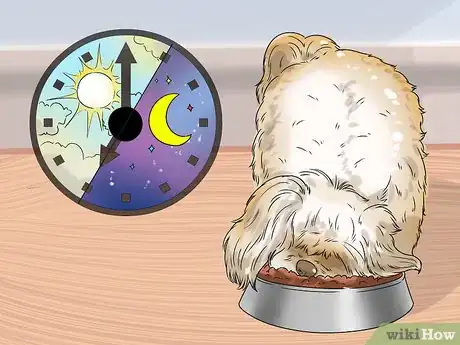 Imagen titulada Feed Your Shih Tzu Step 3