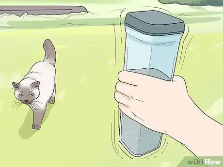 Imagen titulada Attract Cats Step 12