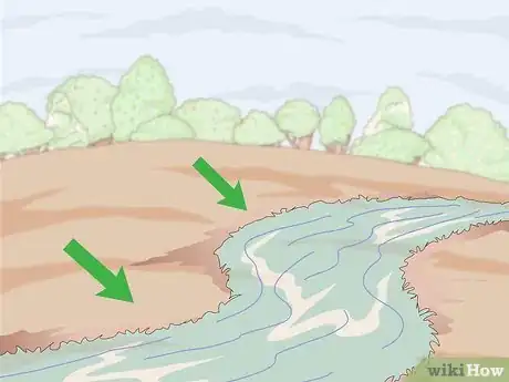 Imagen titulada Grow a Sandalwood Tree Step 2