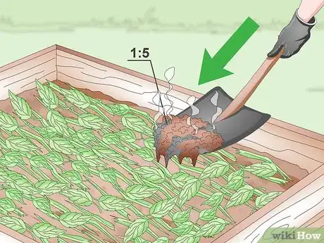 Imagen titulada Add Nitrogen to Compost Step 3