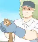 mantener a las ardillas alejadas