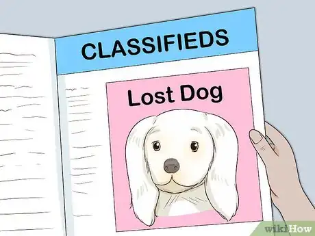 Imagen titulada Find a Lost Dog Step 25