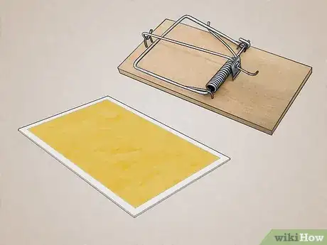 Imagen titulada Attract Rats Step 10