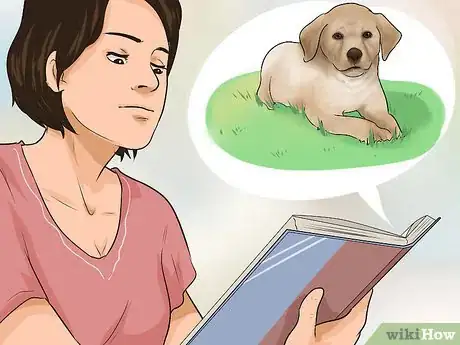 Imagen titulada Buy a Labrador Retriever Puppy Step 1