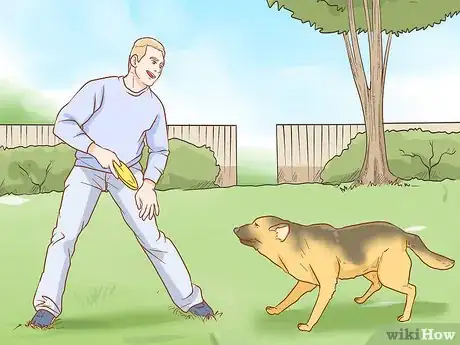 Imagen titulada Stop Your Dog from Waking You Up at Night Step 4