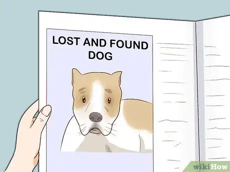 Imagen titulada Find a Lost Dog Step 27