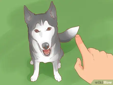 Imagen titulada Talk to a Dog Step 6