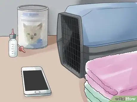 Imagen titulada Help a Cat Give Birth Step 6