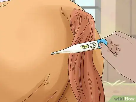 Imagen titulada Treat Edema in Horses Step 4