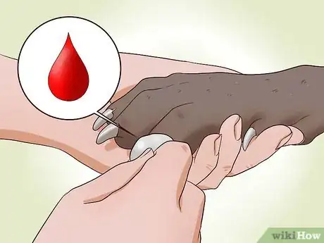 Imagen titulada Trim a Dog's Nails Step 9