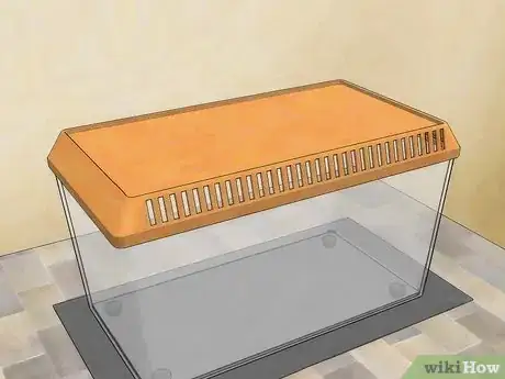 Imagen titulada Care for a Centipede Step 1