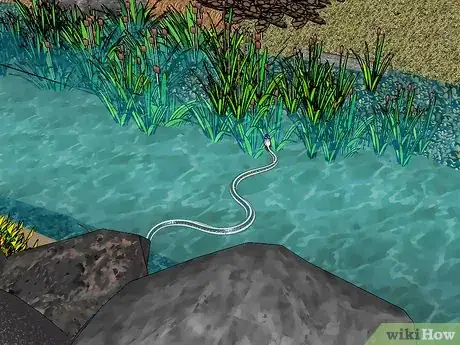 Imagen titulada Prevent Snake Bites Step 7